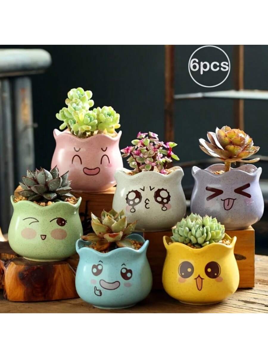 Echeveria Succulent - 6 Buah/Set Pot Bunga Keramik Lucu