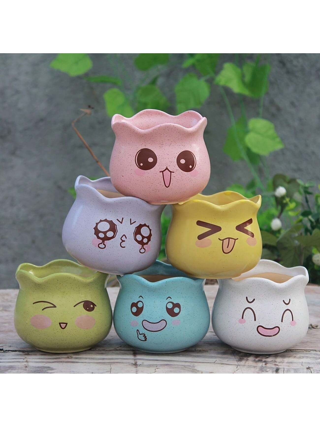 6 Buah/Set Pot Bunga Keramik L - Echeveria Succulent ulasan dan harga