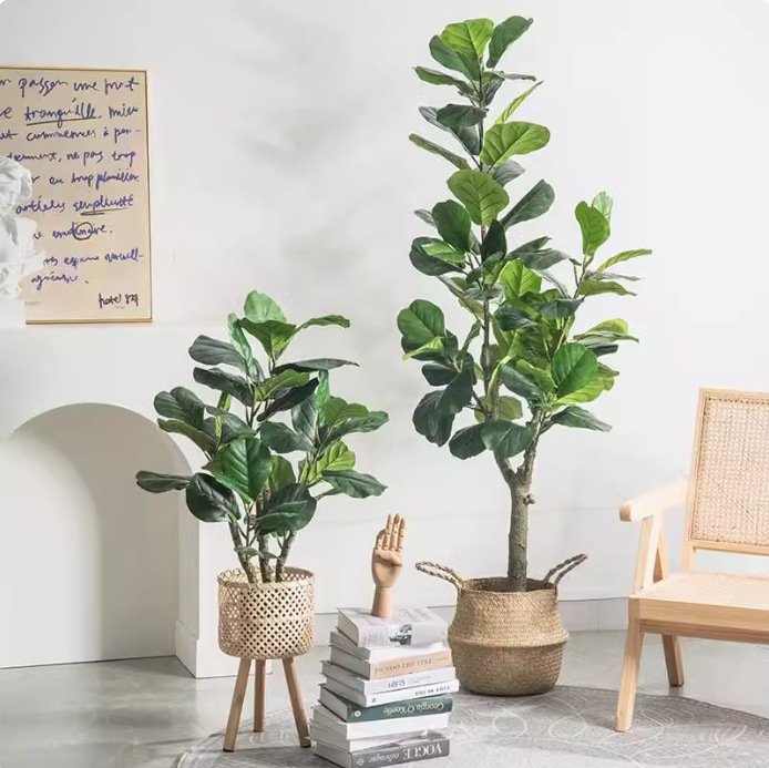 Tanaman Pot Plastik Buatan, Je - Ficus Lyrata Tree ulasan dan harga