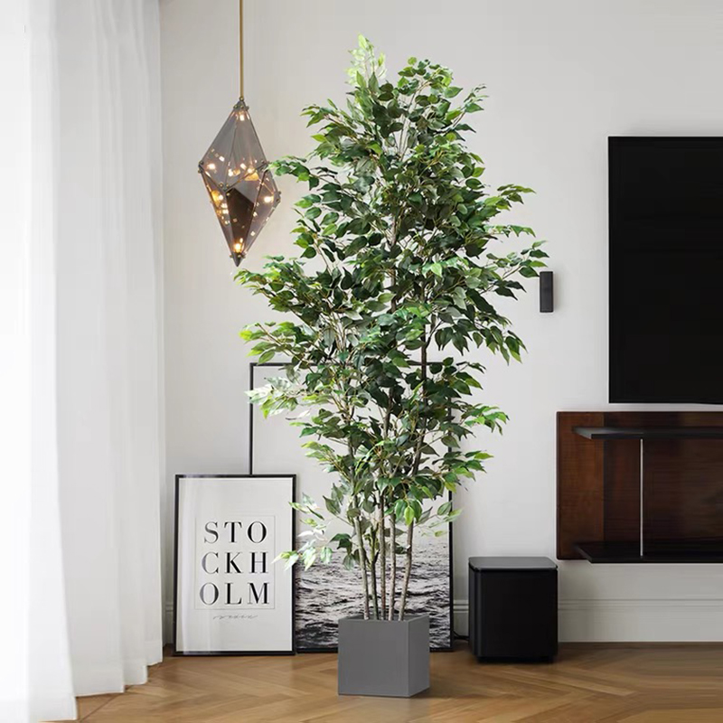 Pohon Ficus buatan plastik, ta - Ficus Lyrata Tree ulasan dan harga